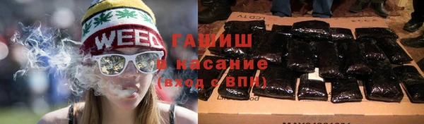 прущие грибы Алзамай