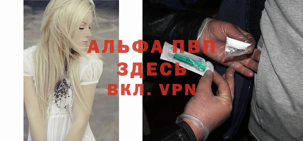 прущие грибы Алзамай