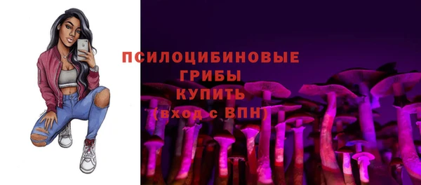 МДПВ Алексин