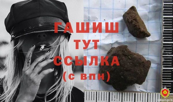 прущие грибы Алзамай