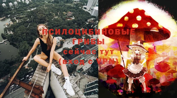 прущие грибы Алзамай