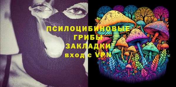прущие грибы Алзамай